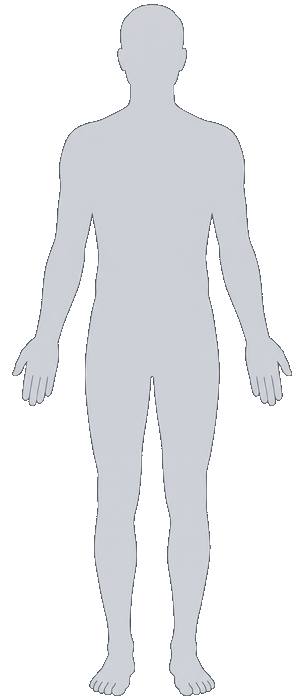 Corpo masculino